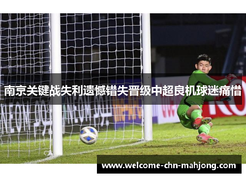 南京关键战失利遗憾错失晋级中超良机球迷痛惜